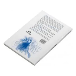 Compra Brindlewood Bay de The Hills Press al mejor precio (18,95 €)