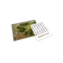 Compra Forbidden Lands. Mapa + pegatinas de Nosolorol al mejor precio 