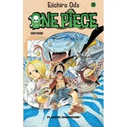 One Piece 029