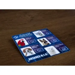 Compra Detective: Pequeños Agentes de Maldito Games al mejor precio (1