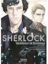 Comprar Sherlock: Escándalo en Belgravia (Segunda Parte) barato al mej