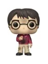 Compra Funko POP! Harry Potter con Piedra Filosofal Ed. Aniversario (1