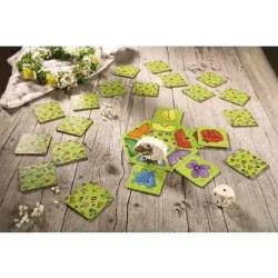 Compra Bellaflor de Haba al mejor precio (9,99 €)