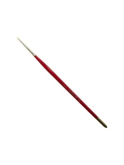 Compra Dismoer Toray Redondo Size 5/0 (29015) de Dismoer al mejor prec