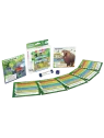 Compra BrainBox Pocket Animales Peligrosos de Beezerwizzer Studio al m