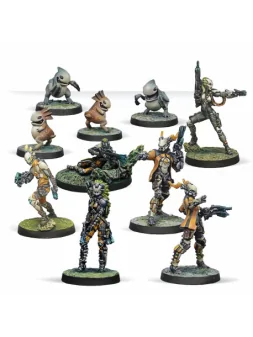 Compra Tohaa Combat Force Special Release Pack Beta (Inglés) de Corvus