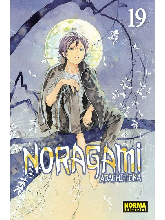 Comprar Noragami 19 barato al mejor precio 7,60 € de Norma Editorial