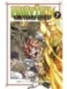 Comprar Fairy Tail 100 Years Quest 07 barato al mejor precio 8,55 € de