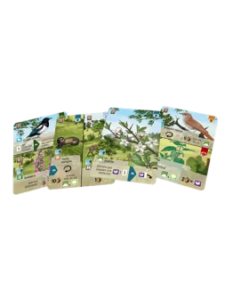 Compra Forest Shuffle Linde del Bosque de Lookout Games al mejor preci