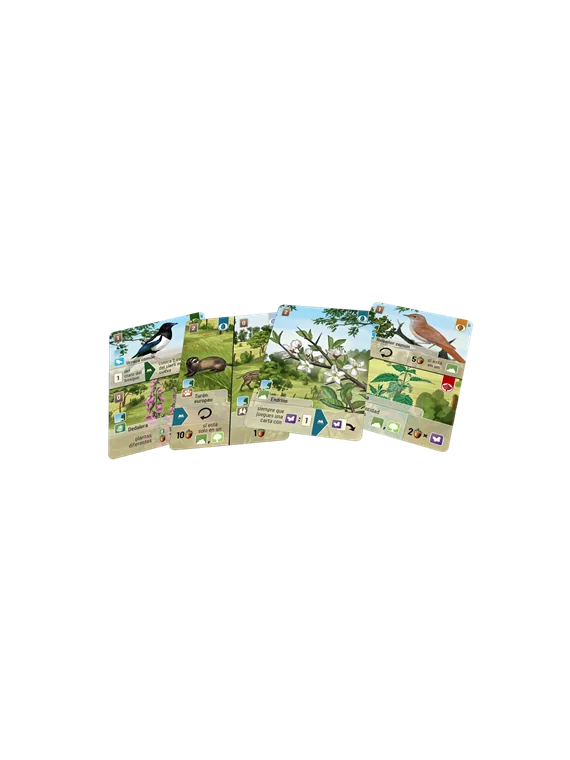 Compra Forest Shuffle Linde del Bosque de Lookout Games al mejor preci
