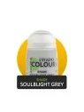 Compra Warhammer Colour: Shade Soulblight Grey (24-35) de Games Worksh