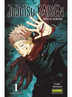 Compra Jujutsu Kaisen 01 de Norma Editorial al mejor precio (8,55 €)