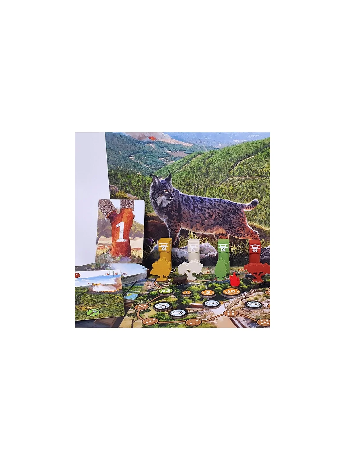 Compra Floresta de Mebo Games al mejor precio (39,95 €)