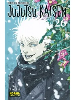 Compra Jujutsu Kaisen 26 de Norma Editorial al mejor precio (8,55 €)