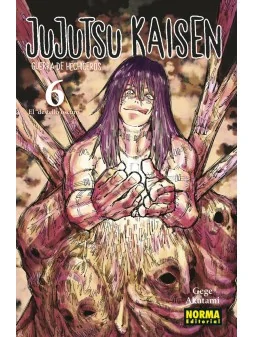 Compra Jujutsu Kaisen 06 de Norma Editorial al mejor precio (8,55 €)