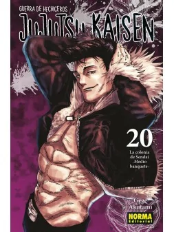 Compra Jujutsu Kaisen 20 de Norma Editorial al mejor precio (8,55 €)