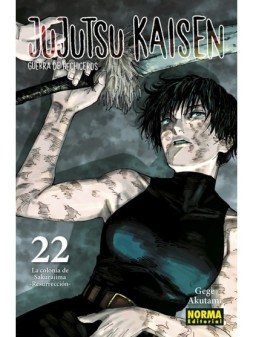 Colección de Cómics y Novelas Gráficas - La Cueva Roja
