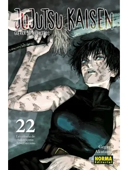 Compra Jujutsu Kaisen 22 de Norma Editorial al mejor precio (8,55 €)