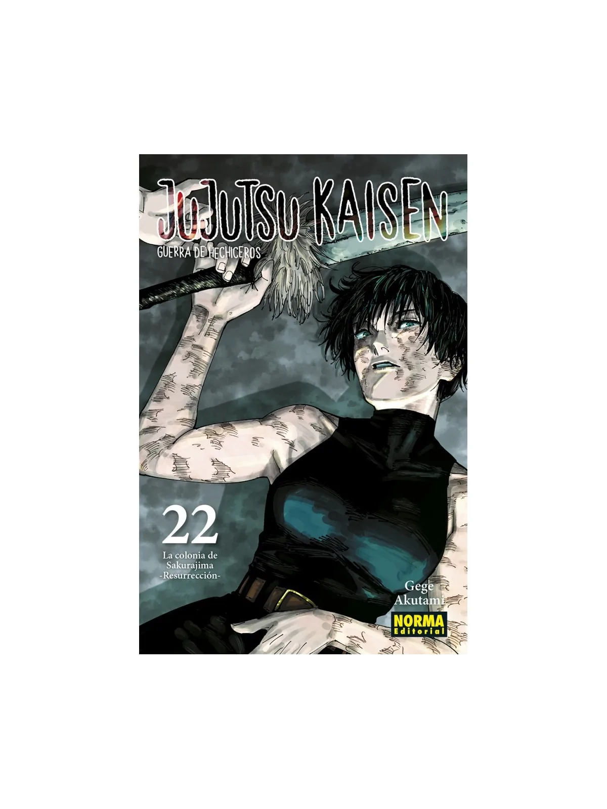 Compra Jujutsu Kaisen 22 de Norma Editorial al mejor precio (8,55 €)