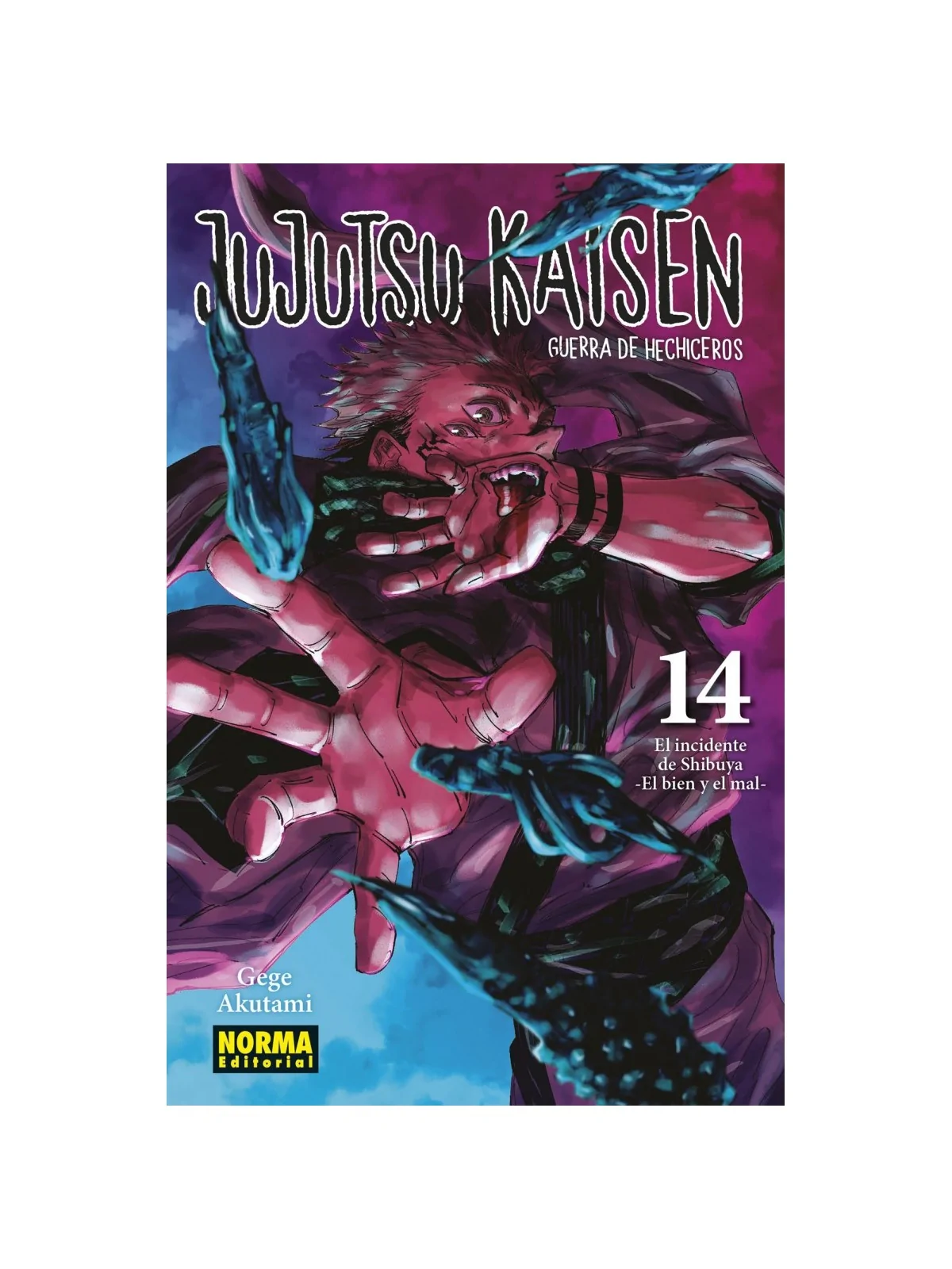 Compra Jujutsu Kaisen 14 de Norma Editorial al mejor precio (8,55 €)