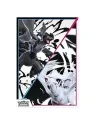 Compra Pokemon TCG: Fulgor Negro y Llama Blanca – Colección con Póster