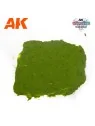 Compra Plague Ground AK 100ml (AK1217) de AK Interactive al mejor prec