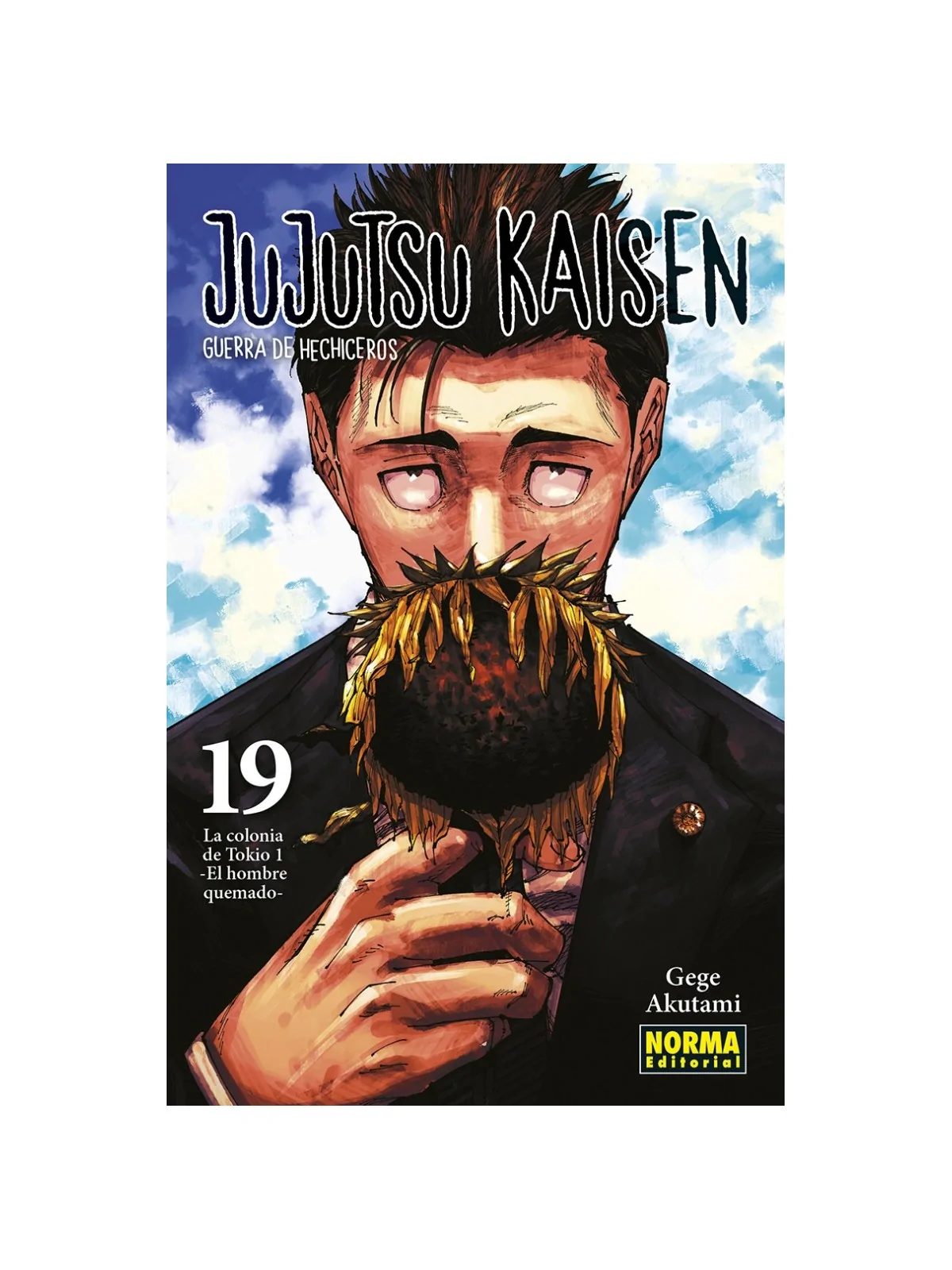 Compra Jujutsu Kaisen 19 de Norma Editorial al mejor precio (8,55 €)