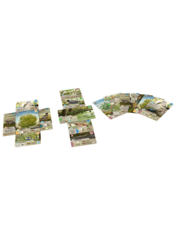 Colección de Juegos de Mesa - La Cueva Roja