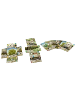 Compra Forest Shuffle Dartmoor de Lookout Games al mejor precio (27,99