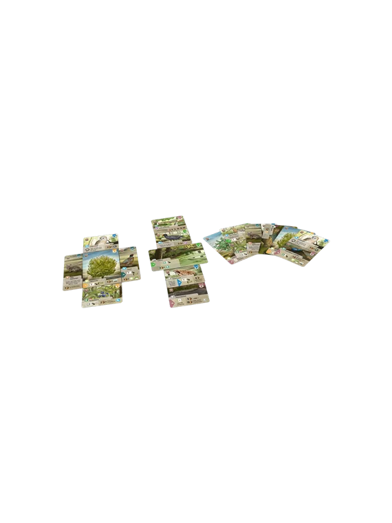 Compra Forest Shuffle Dartmoor de Lookout Games al mejor precio (27,99