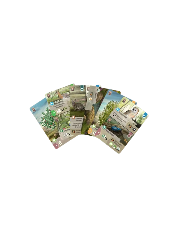Compra Forest Shuffle Dartmoor de Lookout Games al mejor precio (27,99