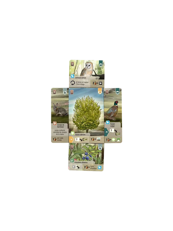 Compra Forest Shuffle Dartmoor de Lookout Games al mejor precio (27,99