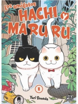 Colección de Cómics y Novelas Gráficas - La Cueva Roja