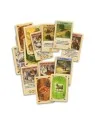 Compra Catan Cartas de Devir al mejor precio (10,00 €)