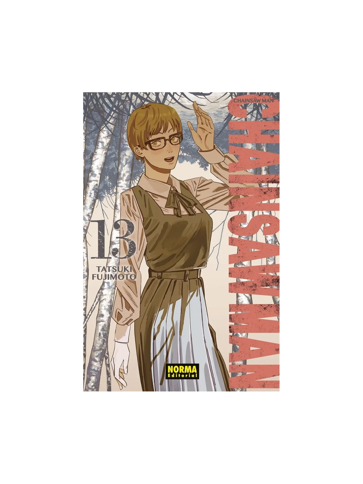 Compra Chainsaw Man 13 de Norma Editorial al mejor precio (8,55 €)