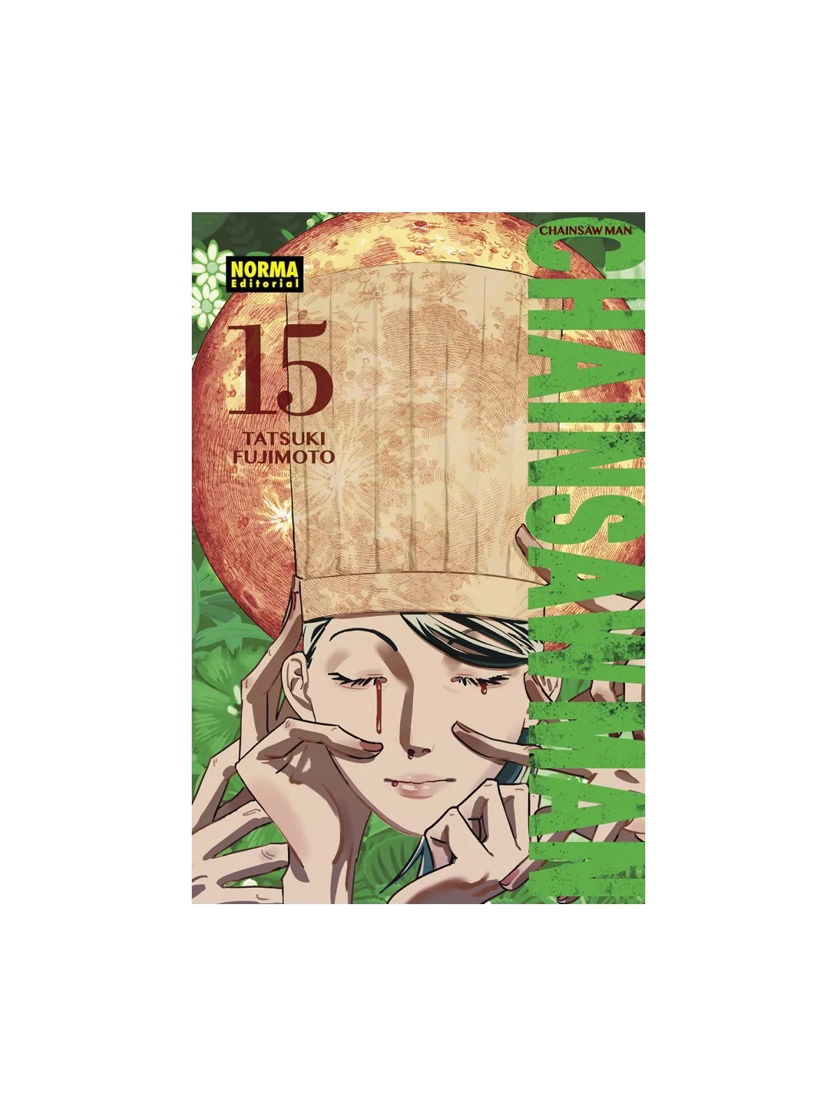 Compra Chainsaw Man 15 de Norma Editorial al mejor precio (8,55 €)