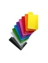 Compra Card Dividers Multicolor de Gamegenic al mejor precio (2,18 €)