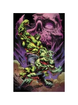 Compra El Increíble Hulk 29 de Panini Comics al mejor precio (3,14 €)