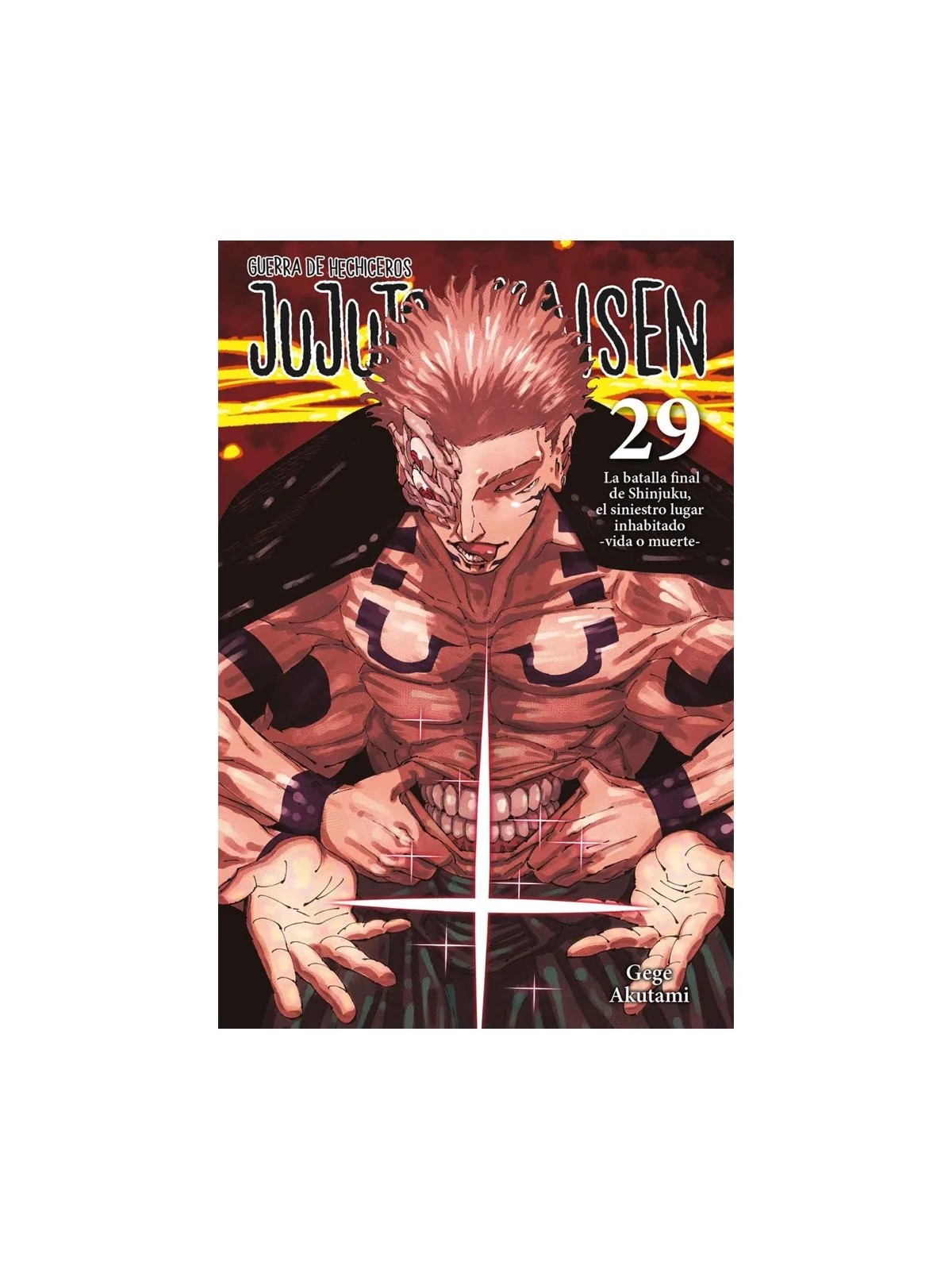 Compra Jujutsu Kaisen 29 de Norma Editorial al mejor precio (8,55 €)