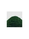 Compra Cesped Electrostatico 2-3mm: Deep Green Meadow  200ml (Green St
