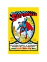 Compra DC Edición Facsímil: Superman 1 de Panini Comics al mejor preci
