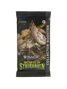 Compra Magic the Gathering: Secrets of Strixhaven – Collector’s Booste