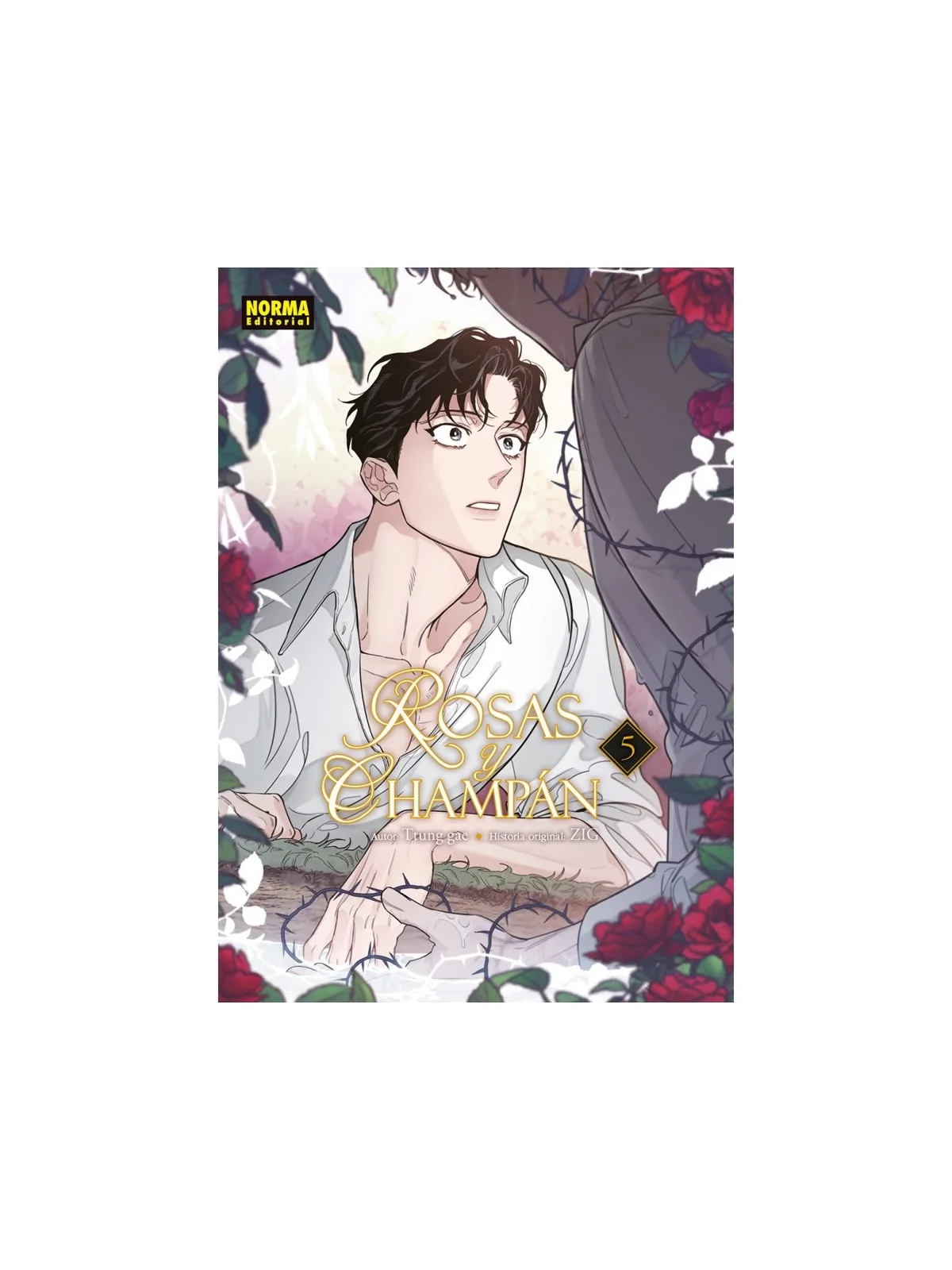 Compra Rosas y Champán 05 de Norma Editorial al mejor precio (16,10 €)