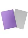 Compra Dragon Shield: Standard Matte Dual Nebula and Silver (100) de D