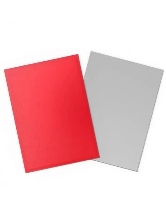 Compra Dragon Shield: Standard Matte Dual Crimson and Silver (100) de 