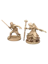 Compra Star Wars Imperial Assault: El Gambito de Bespin de Fantasy Fli