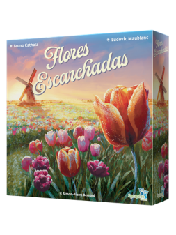 Colección de Juegos de Mesa - La Cueva Roja