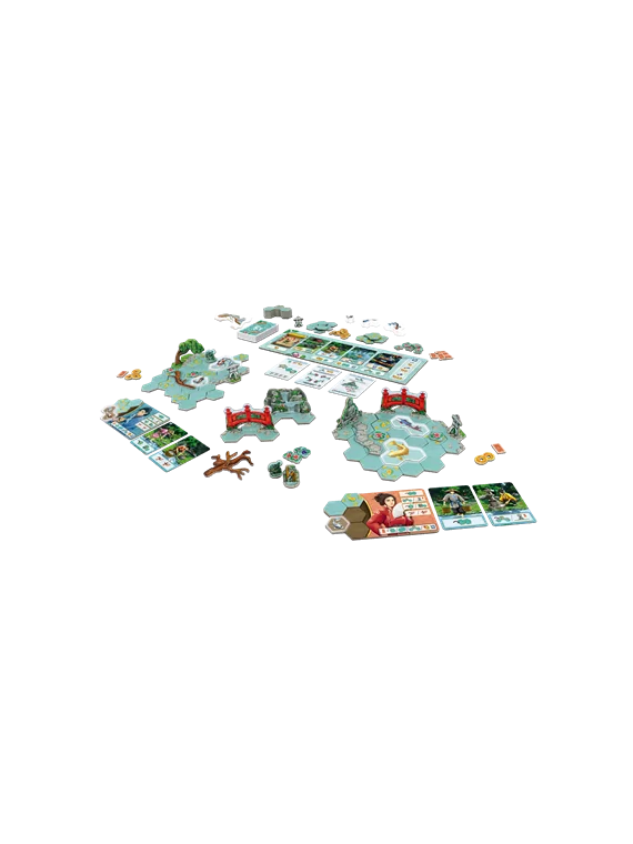 Compra Koi de dV Giochi al mejor precio (39,99 €)