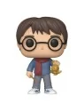 Compra Funko POP! Harry Potter: Holiday Harry Potter (122) de Funko al