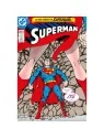 Compra Biblioteca Superman 13 de Panini Comics al mejor precio (15,20 